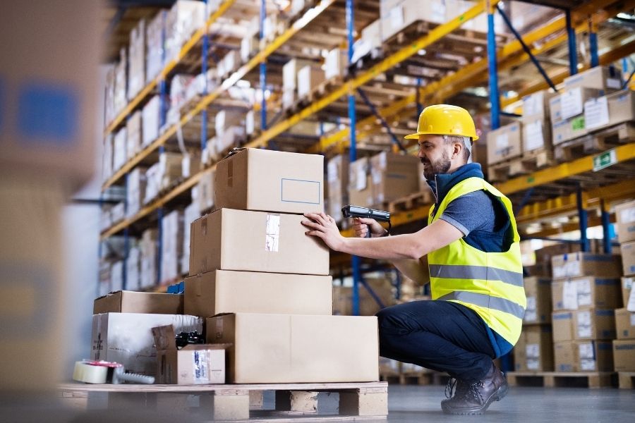 Warehouse worker reviewing IT & WHM Systems